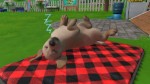 Little Friends: Puppy Island (Code-In-A-Box) - Screenshot 4