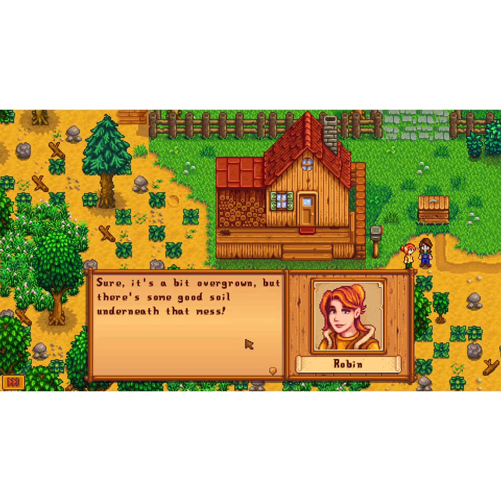 Stardew Valley - Screenshot 2
