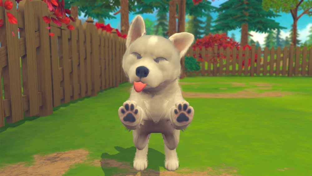 My Universe: Puppies and Kittens (Code-in-a-Box) - Screenshot 8