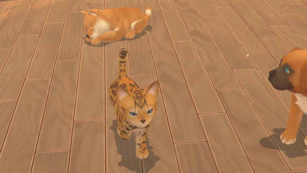 My Universe: Puppies and Kittens (Code-in-a-Box) - Screenshot 3