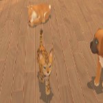 My Universe: Puppies and Kittens (Code-in-a-Box) - Screenshot 3