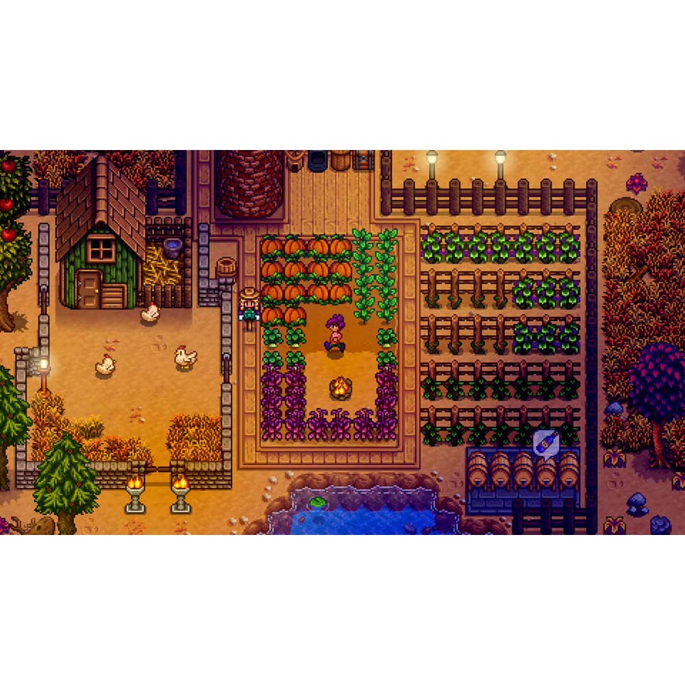Stardew Valley - Screenshot 6