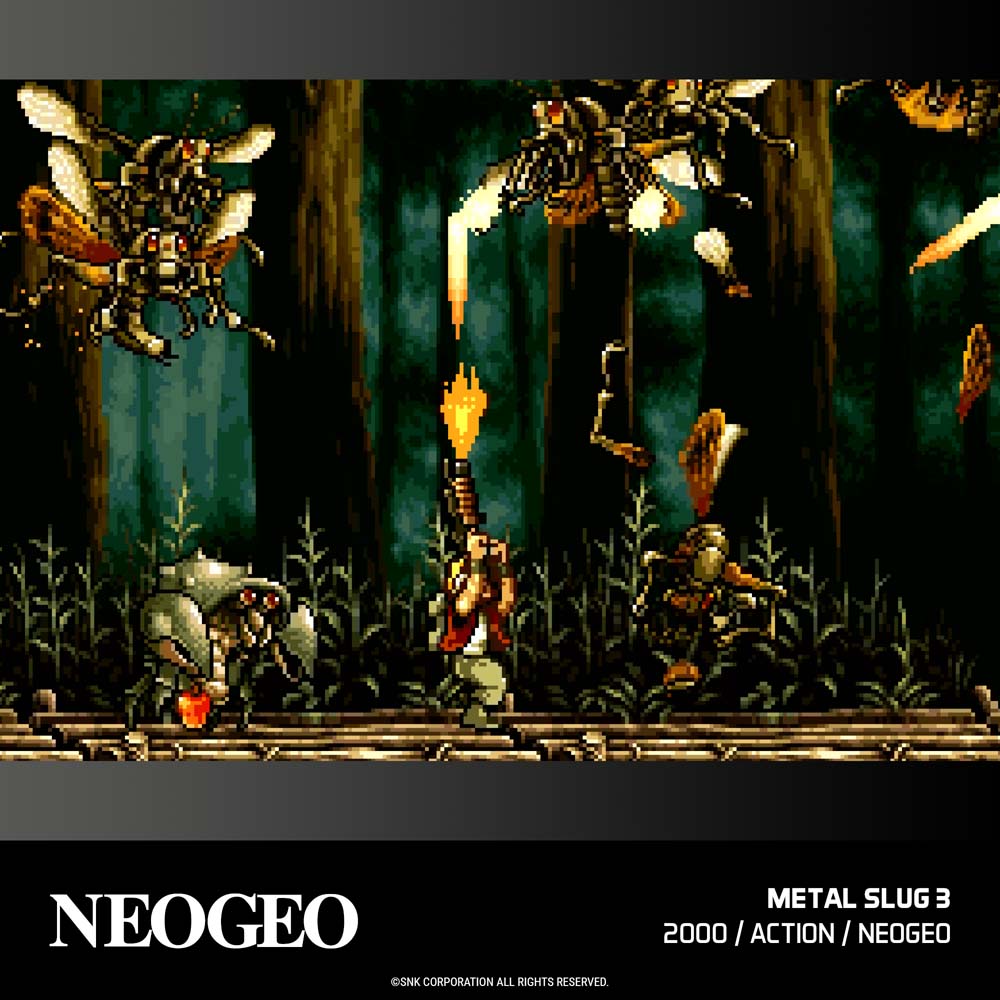 Evercade - NEOGEO Arcade Collection 3 - Screenshot 2