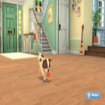 My Universe: Puppies and Kittens (Code-in-a-Box) - Screenshot 5