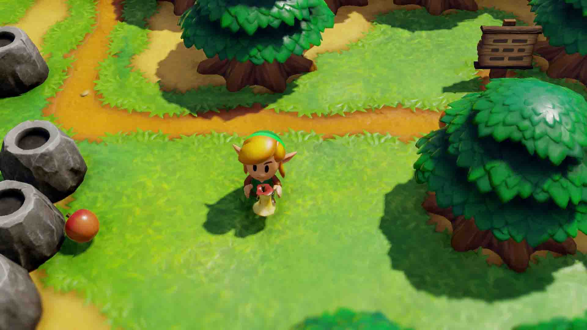 The Legend of Zelda: Link's Awakening - Screenshot 13