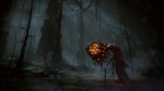 Elden Ring: Nightreign - Screenshot 5