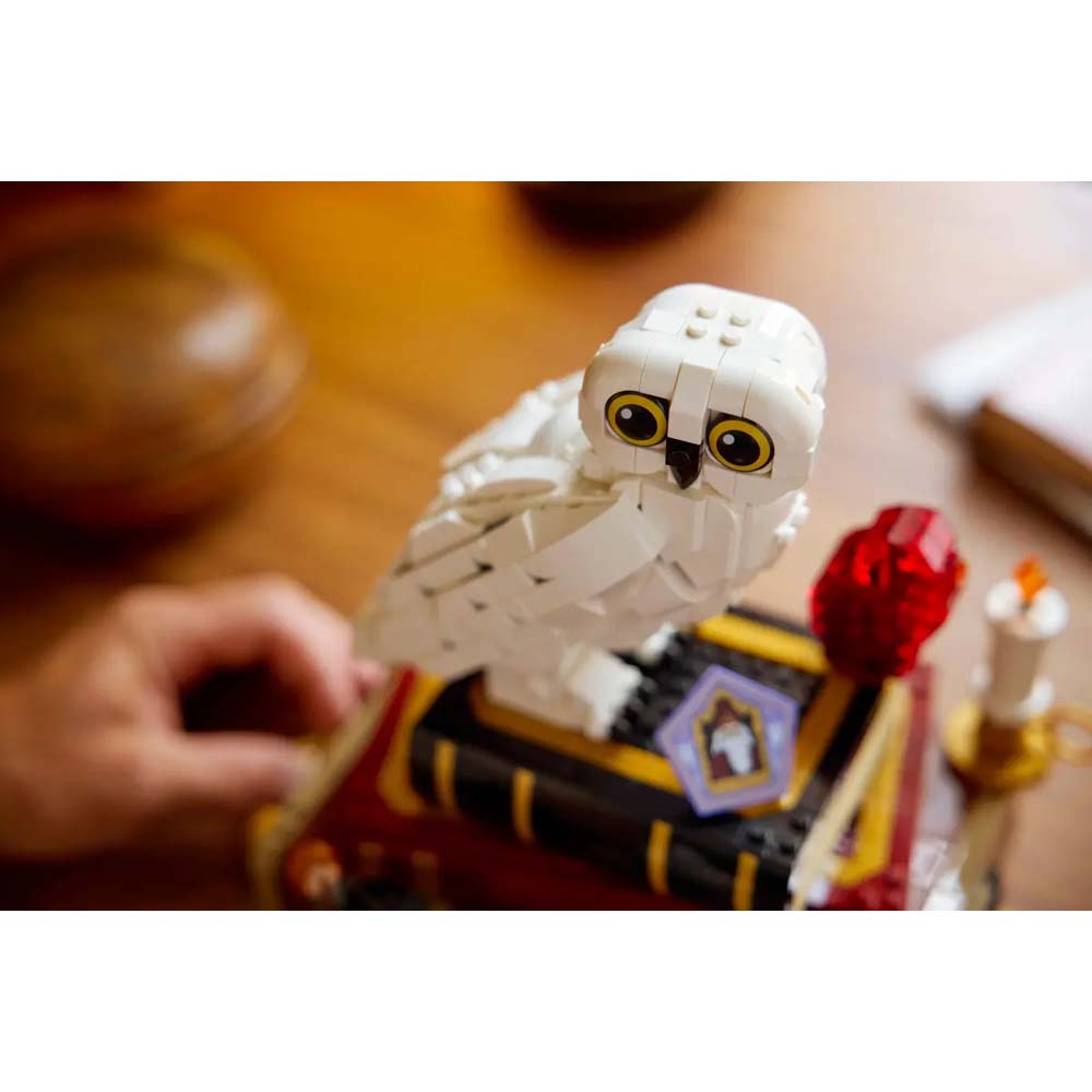 Harry Potter - LEGO Philosopher's Stone Collectors' Edition #76466 - Screenshot 3