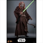 Star Wars - Saesee Tiin 1/6 Scale Action Figure - Screenshot 13