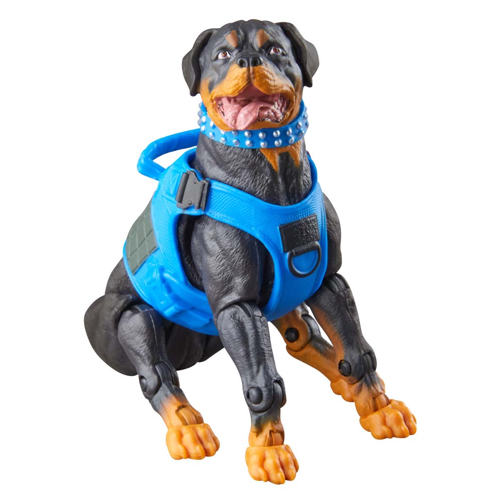 G.I. Joe - Classified Series #220 - Mad Marauders Footloose, Mutt, & Junkyard Action Figures & Dog - Screenshot 6