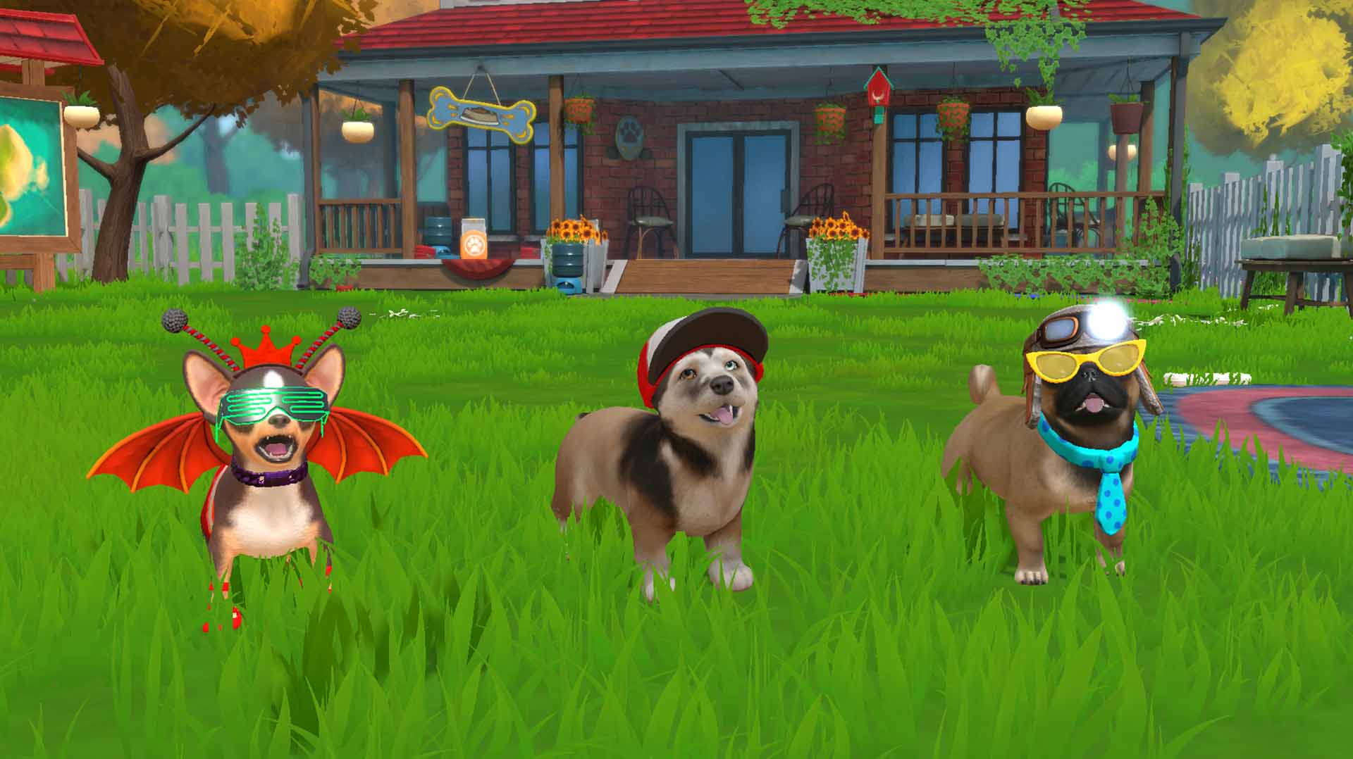 Little Friends: Puppy Island (Code-In-A-Box) - Screenshot 7