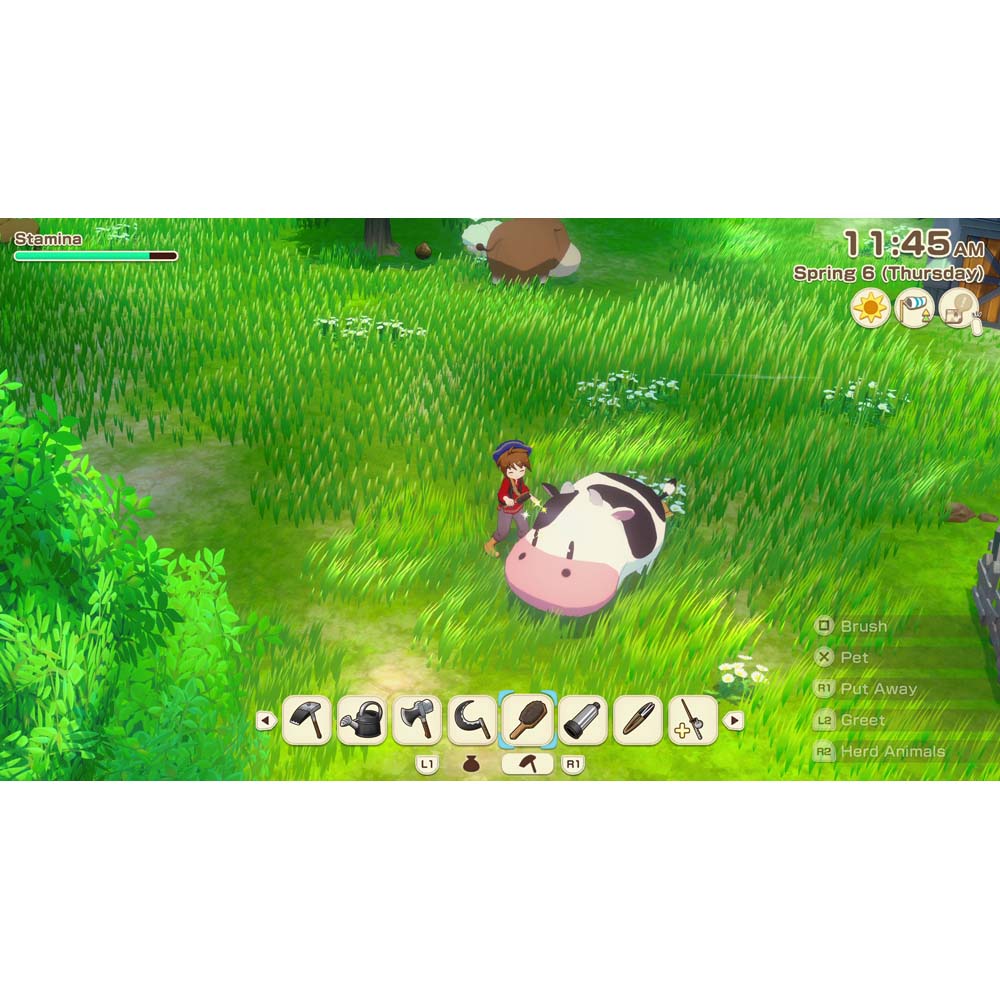 Story of Seasons Grand Bazaar - Screenshot 1