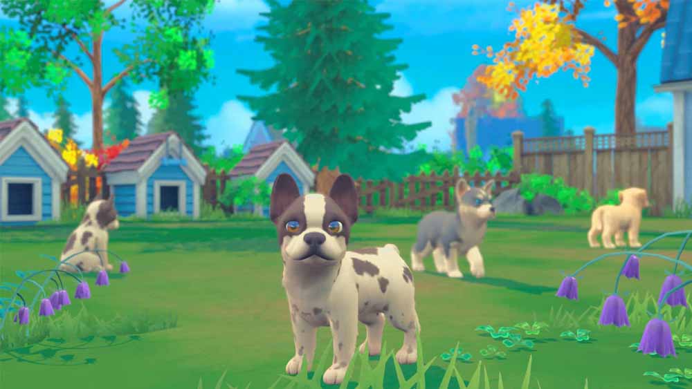 My Universe: Puppies and Kittens (Code-in-a-Box) - Screenshot 9