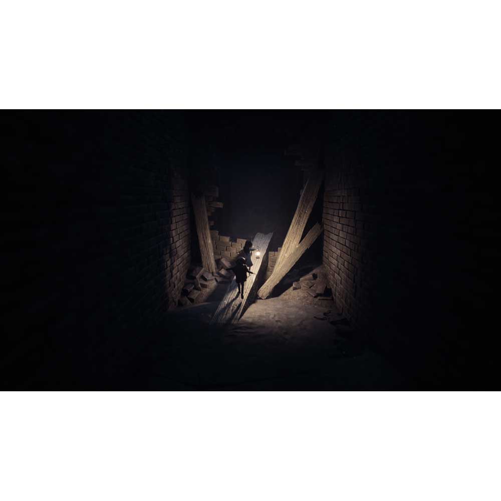 Reanimal - Collector's Edition - Screenshot 1
