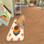 My Universe: Puppies and Kittens (Code-in-a-Box) - Screenshot 1