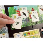 Wingspan Americas Expansion Board Game - Screenshot 4