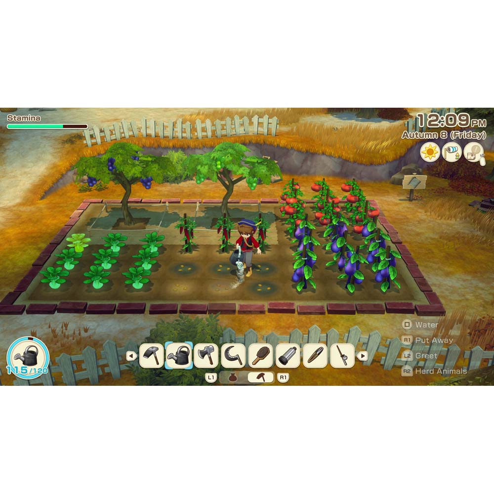 Story of Seasons Grand Bazaar - Screenshot 2