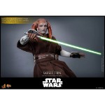 Star Wars - Saesee Tiin 1/6 Scale Action Figure - Screenshot 3