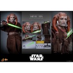 Star Wars - Saesee Tiin 1/6 Scale Action Figure - Screenshot 6