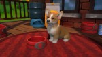 Little Friends: Puppy Island (Code-In-A-Box) - Screenshot 2