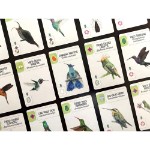 Wingspan Americas Expansion Board Game - Screenshot 1