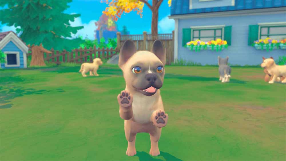 My Universe: Puppies and Kittens (Code-in-a-Box) - Screenshot 4