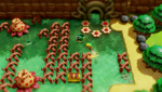 The Legend of Zelda: Link's Awakening - Screenshot 4