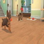 My Universe: Puppies and Kittens (Code-in-a-Box) - Screenshot 7