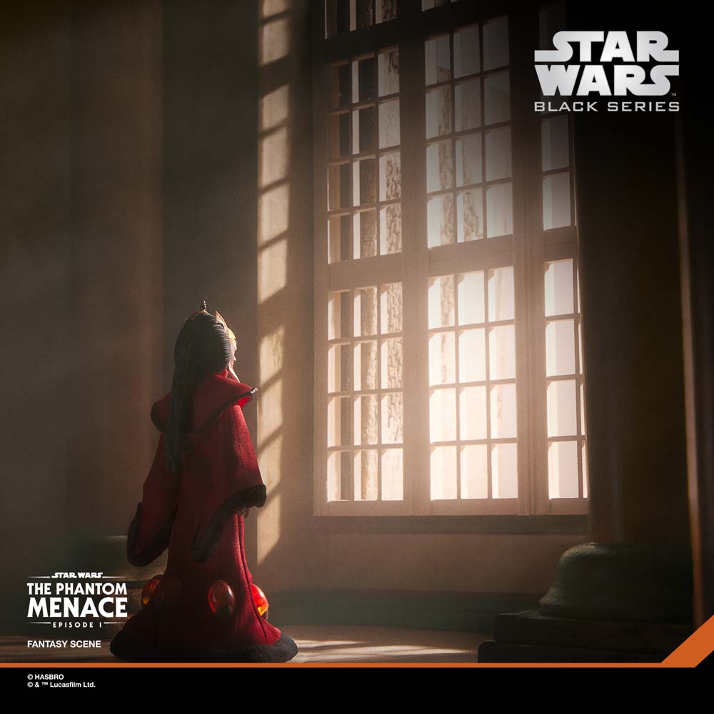 Star Wars - The Black Series - Queen Amidala Action Figure - Screenshot 1